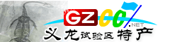 義龍新區(qū)特產(chǎn)大全
