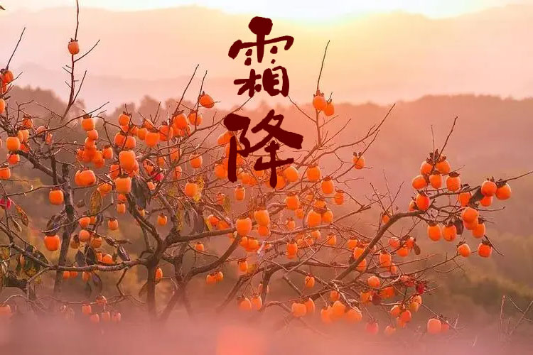 转眼间霜降至�Q�一杯暖酒渡�U�冬