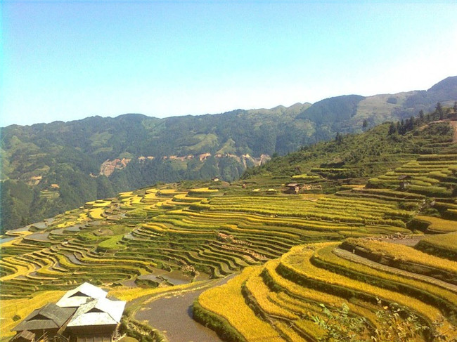 加榜梯田